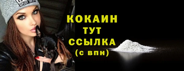 спайс Надым