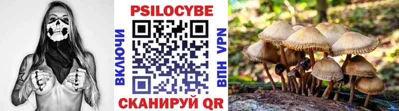 Псилоцибиновые грибы прущие грибы  наркота  Осташков 